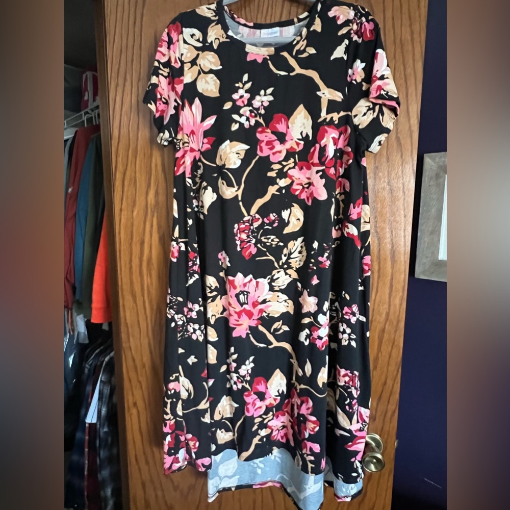 LuLaRoe Carly Dress Size Large
